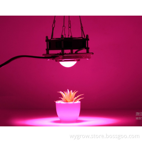 Grow light 200w cob plant light